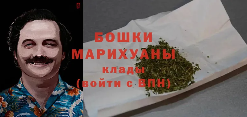 наркотики  Кировск  mega как зайти  МАРИХУАНА THC 21% 